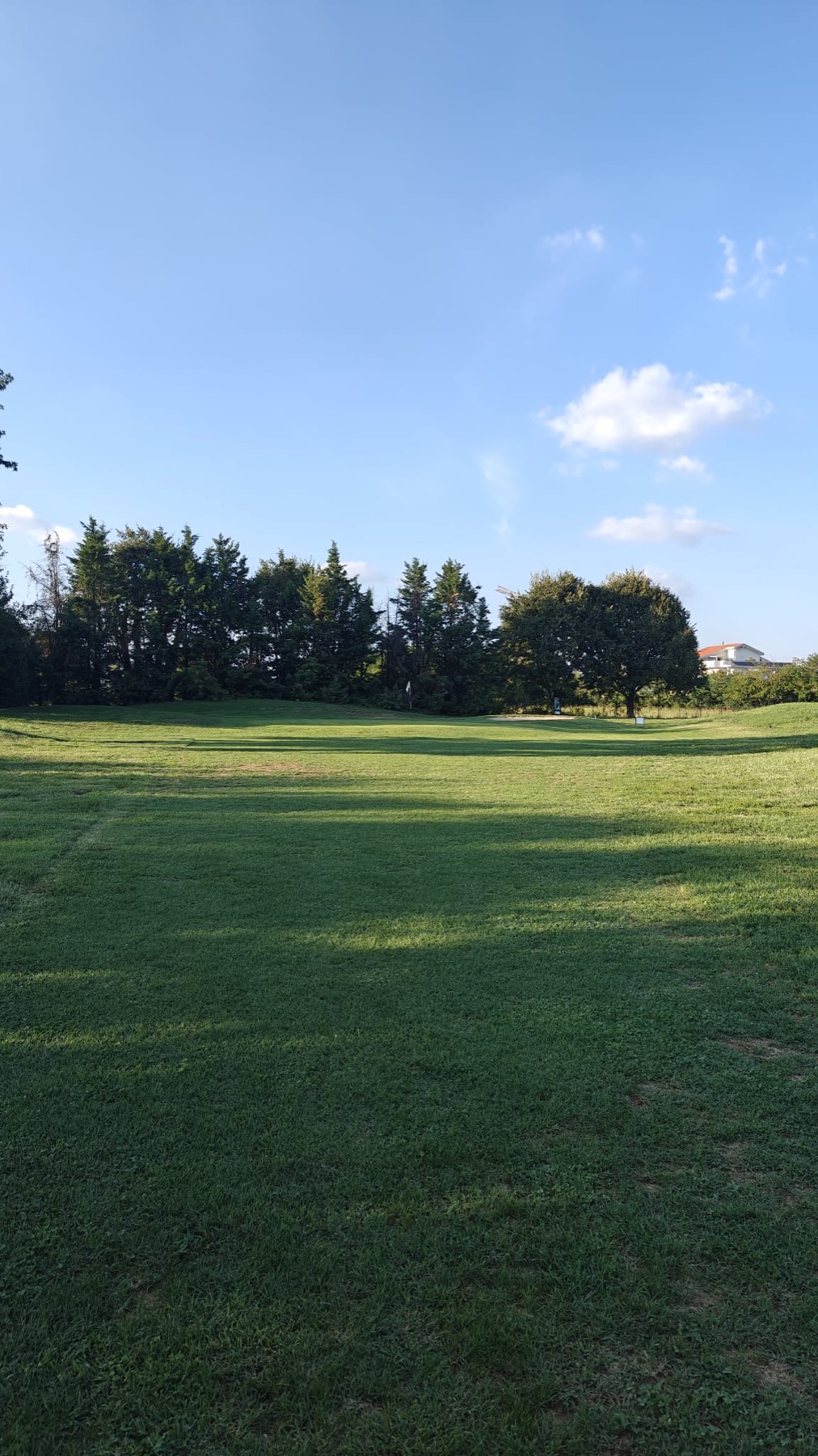 Ombre lunghe sul prato nel tardo pomeriggio