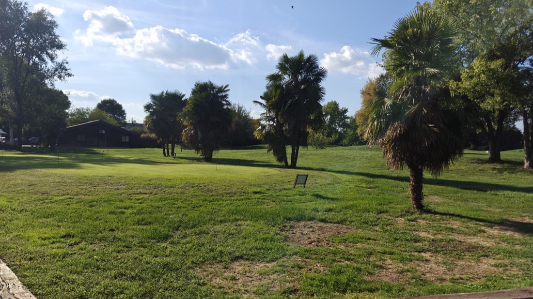 Il green delle buche corte con le palme